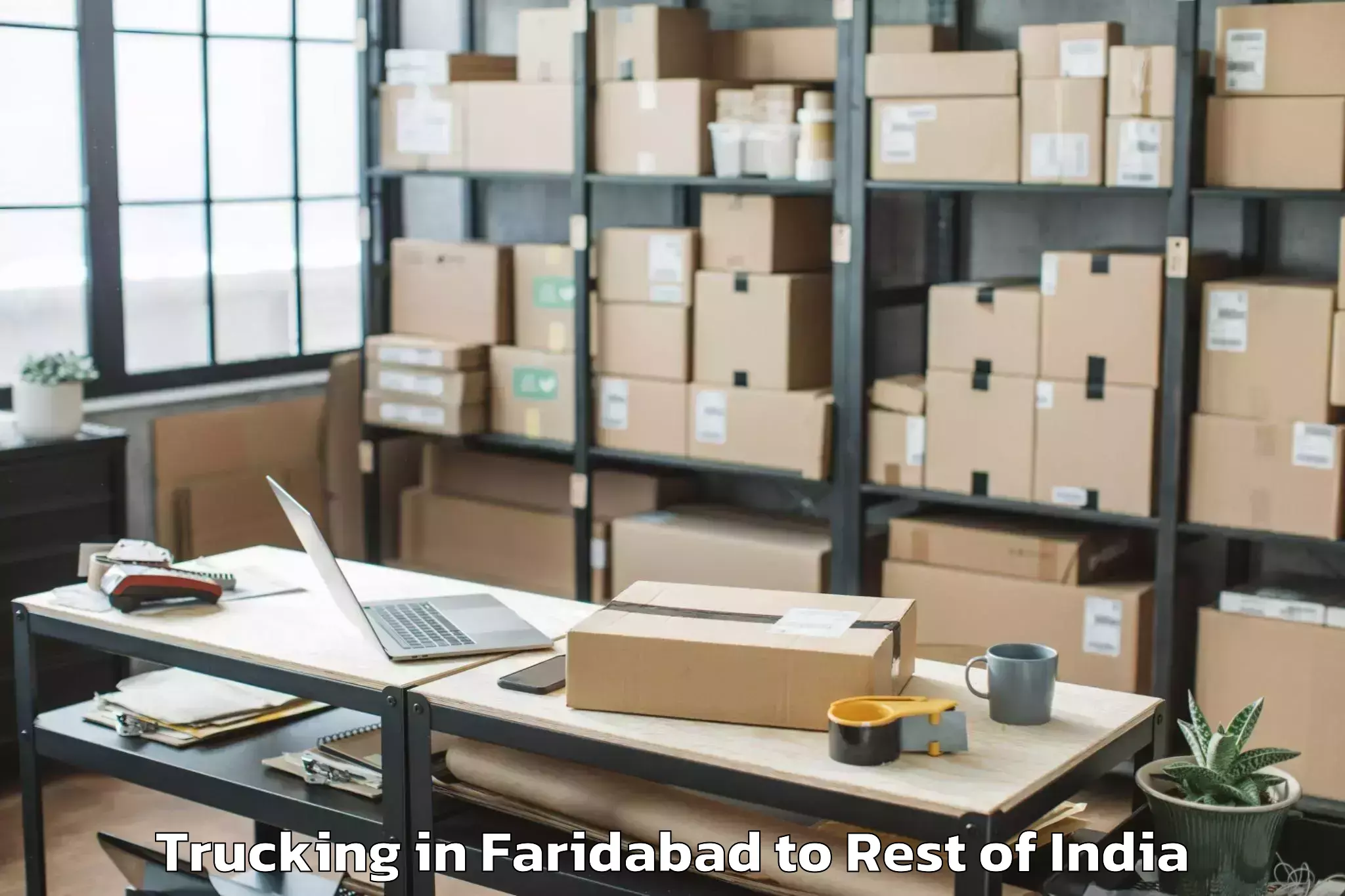 Easy Faridabad to Hunli Trucking Booking